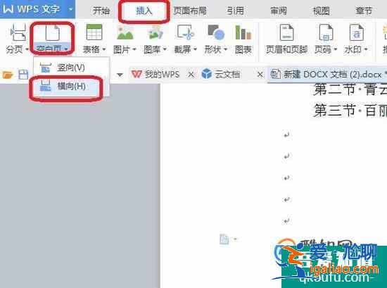 如何在WPS中插入一页横向的纸？