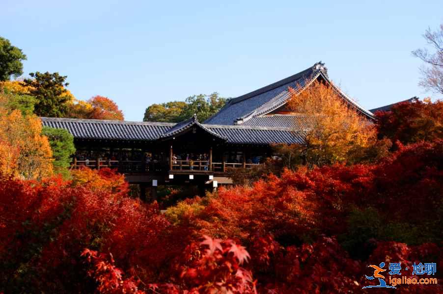 京都伏见一日游怎么玩？京都伏见一日游怎么安排？京都伏见一日游攻略？