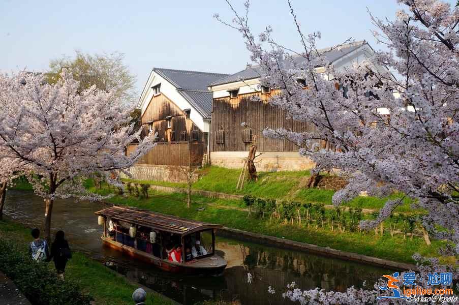 京都伏见一日游怎么玩？京都伏见一日游怎么安排？京都伏见一日游攻略？