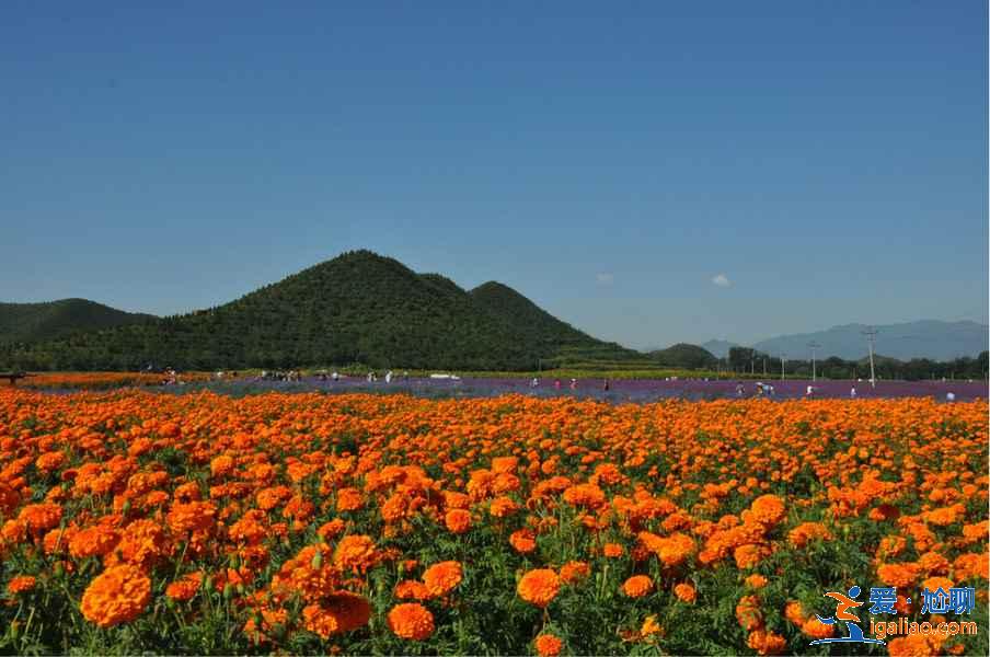 中秋节去北京有什么好玩的，2018中秋节北京天气怎么样？
