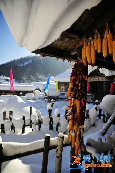 【雪乡天气1、2月天气预报】雪乡天气冬季多少度，雪乡天气预报？