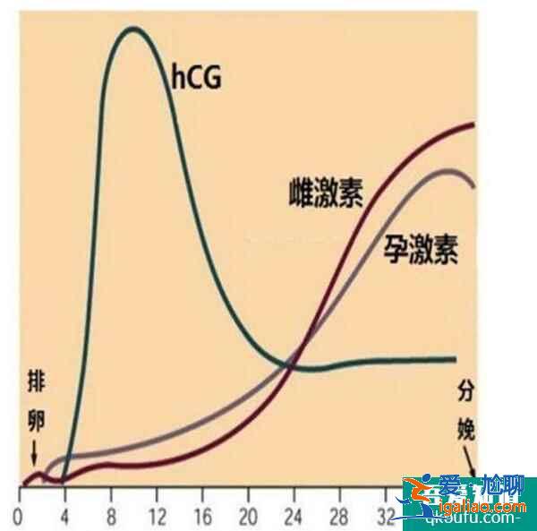 试管婴儿囊胚移植后，HCG如何翻倍可以排除宫外孕？？