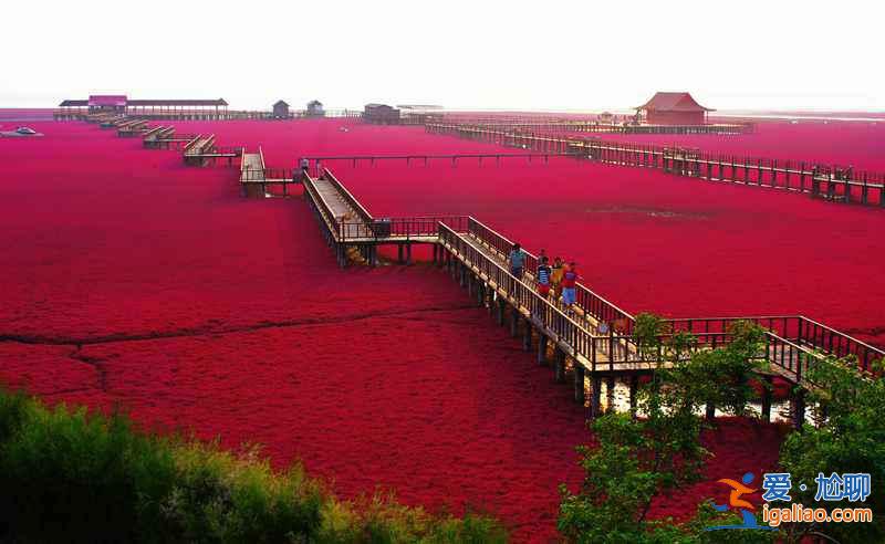 【10月去盘锦】10月去盘锦旅游好玩吗，10月去盘锦怎么样？