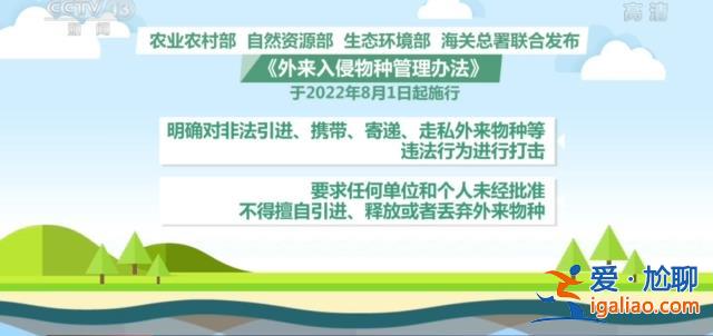 我国首次截获全球新物种 或携带未知病原体传播疾病？