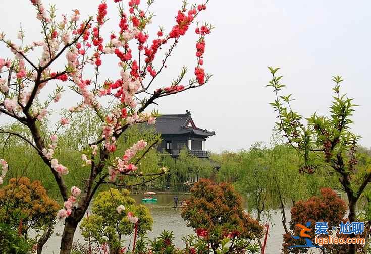 2017南汇桃花节地址、门票，2017南汇桃花节？