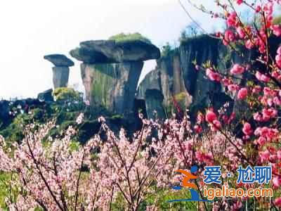 【绍兴桃花节】2017绍兴桃花节时间、地点、门票，2017绍兴桃花节？