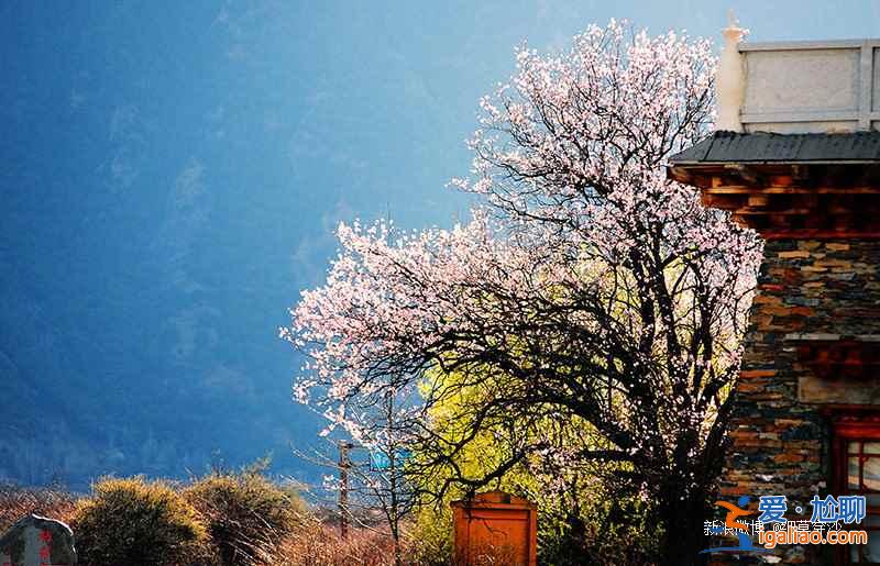 林芝旅游线路，2017林芝桃花几月开？