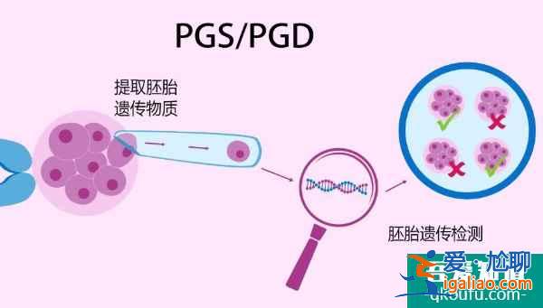 关于试管婴儿成功率的三个关键，保障新生儿健康？