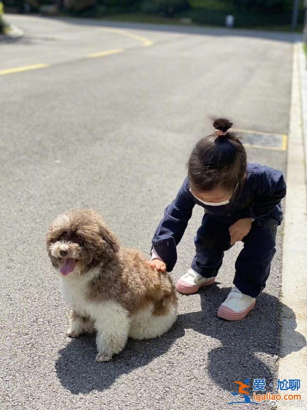 明星点滴丨朱丹晒照分享带娃日常 小小丹扎丸子头逗狗超软萌