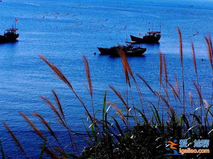 中国十大最美海岛？