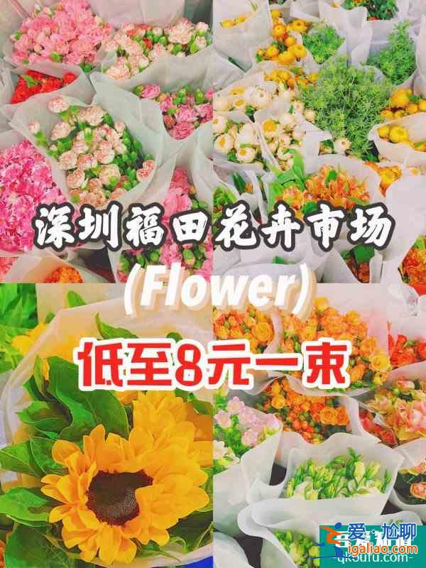 深圳 | 八卦岭花卉市场平靓正8元一大把？