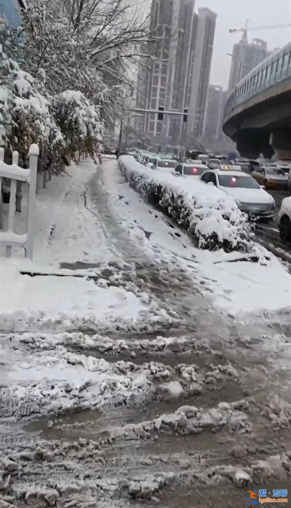 东北一场大雪 冻出电动汽车“心脏病”？