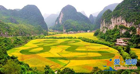 油菜花哪里最好看，国内赏油菜花地图？