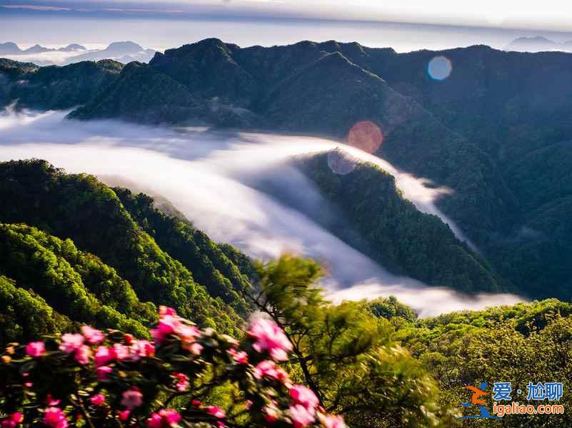 【光雾山杜鹃花节】2017光雾山杜鹃花时间—地点—门票—活动详情？