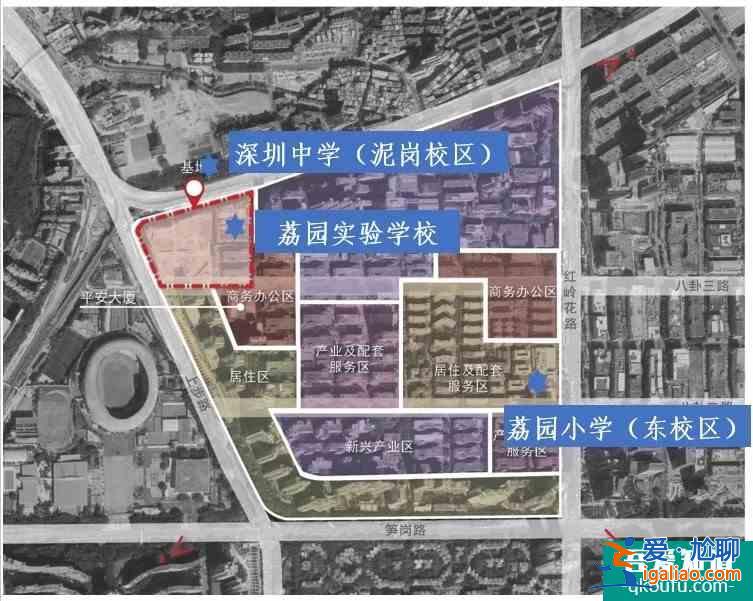 八卦岭新盘，荔园实验学校，荔园小学东校区？