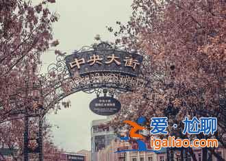 哈尔滨冬季旅游路线，哈尔滨冬天行程安排？