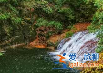 光雾山红叶什么时候红，2018光雾山红叶红了吗？
