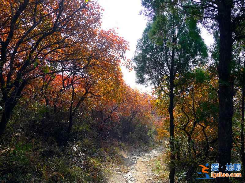 【北京登山好去处】2019北京登山去哪好，北京值得去的8条登山步道？