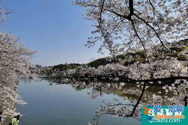 2021湖南省植物园最新临时闭园通知？