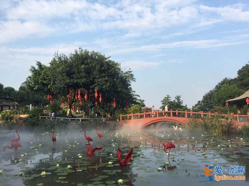 广州莲花山在哪里，怎么去广州莲花山？