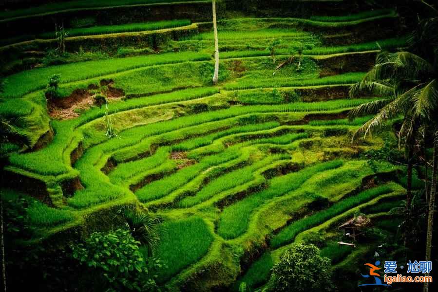 巴厘岛可以旅拍吗，巴厘岛有哪些适合旅拍的地方，巴厘岛旅拍景点推荐？