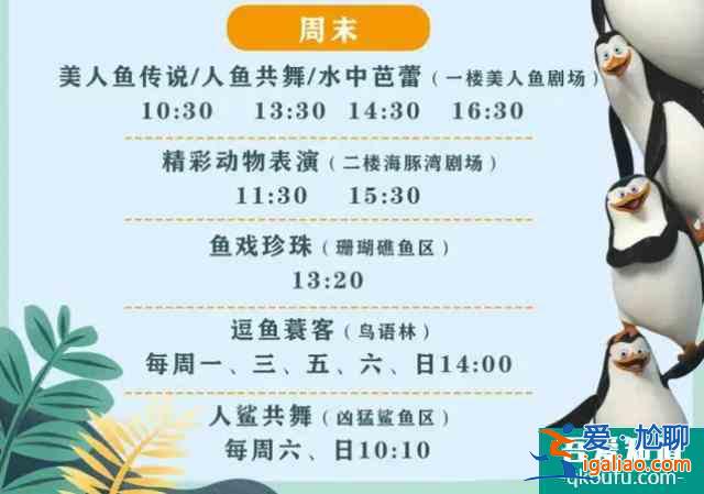 2022赣州极地海洋世界门票优惠政策确定 180的门票现在85起？