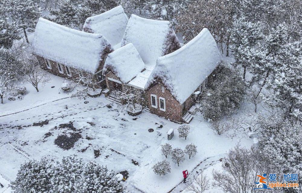 火锅 安排吗？今日大雪 进补的好时节……？