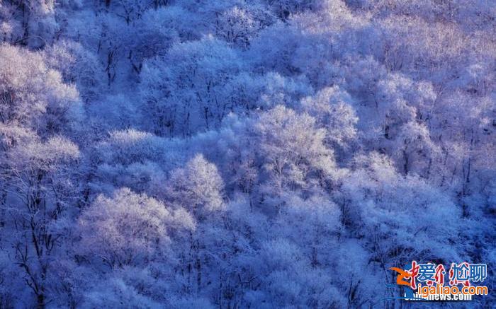 今日大雪丨仲冬之月 顺意平安？