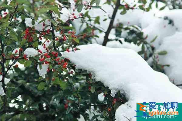 12月25日起云山国家森林公园受低温雨雪天气影响暂时闭园？