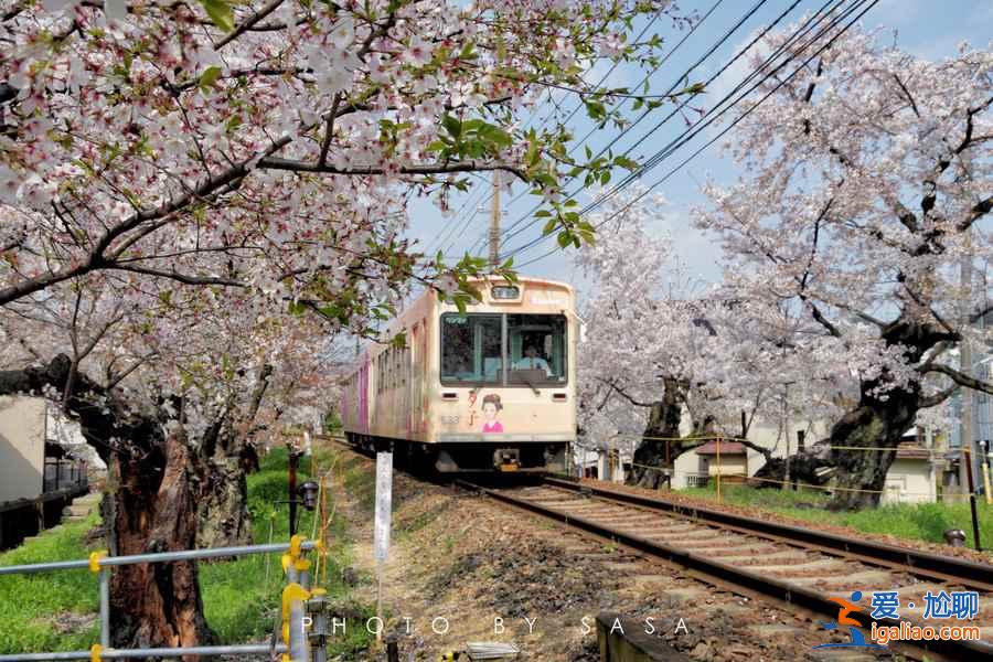 什么时候去日本便宜，几月去日本旅游便宜？