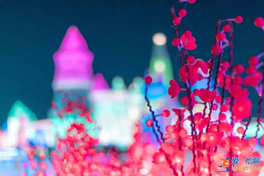 哈尔滨冰雪大世界什么时候开放，哈尔滨冰雪大世界开放时间是什么时候？