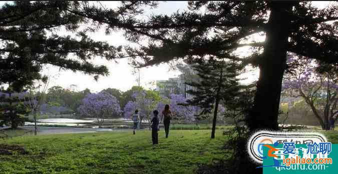 想要去澳洲留学，你还真得克服这些困难！？