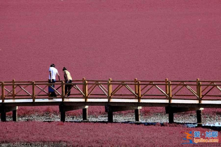 【国庆旅游推荐】细数国内20个秋景最佳摄影旅行地？
