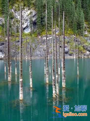 【卡因德湖美景】揭秘卡因德湖底森林奇观？