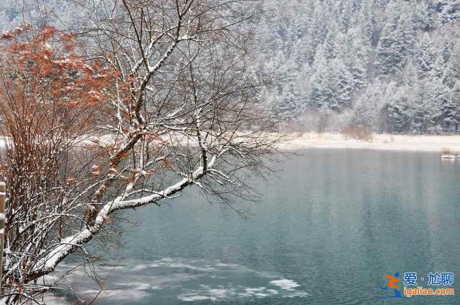 九寨沟雪景什么时间去,九寨沟什么时候下雪？