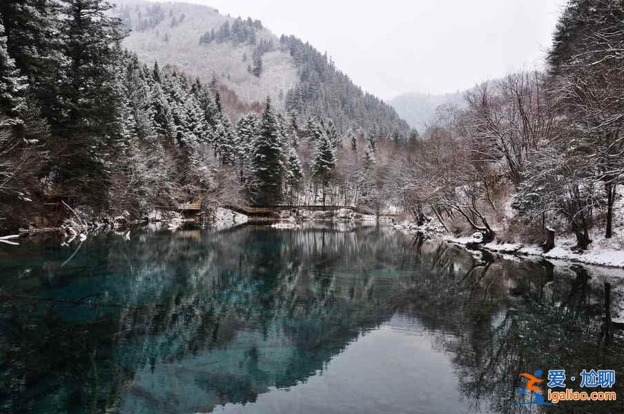 九寨沟雪景什么时间去,九寨沟什么时候下雪？