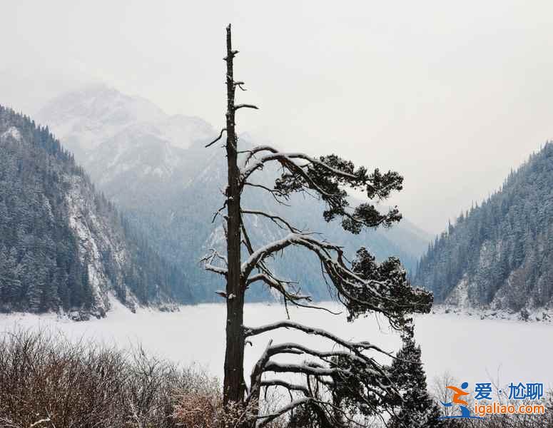 九寨沟雪景什么时间去,九寨沟什么时候下雪？