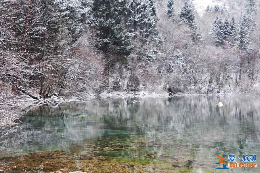 九寨沟雪景什么时间去,九寨沟什么时候下雪？