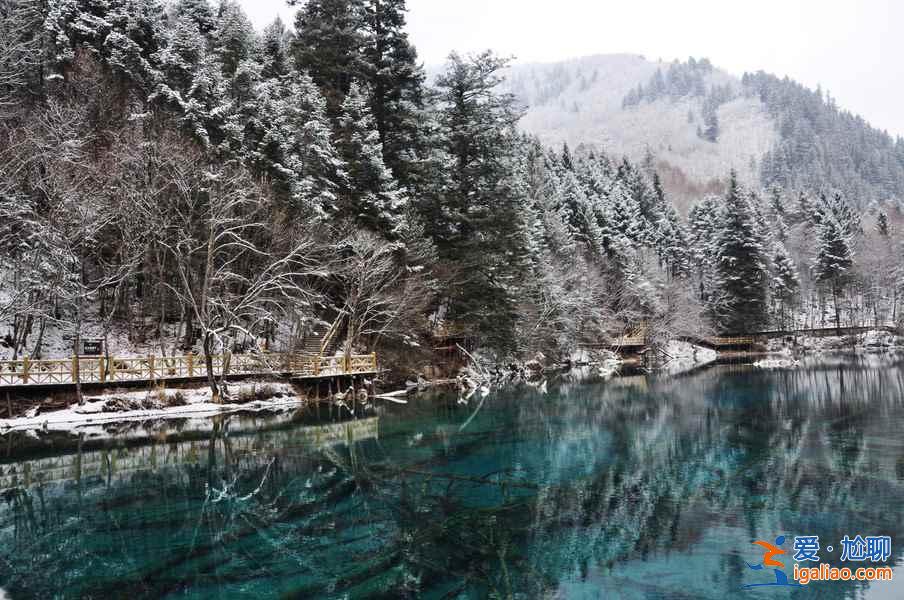 九寨沟雪景什么时间去,九寨沟什么时候下雪？