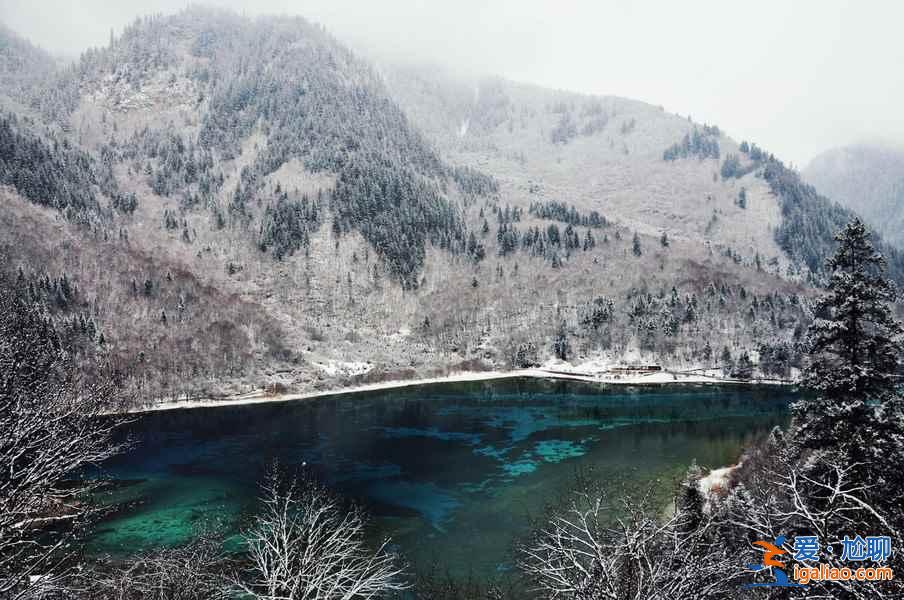 九寨沟雪景什么时间去,九寨沟什么时候下雪？