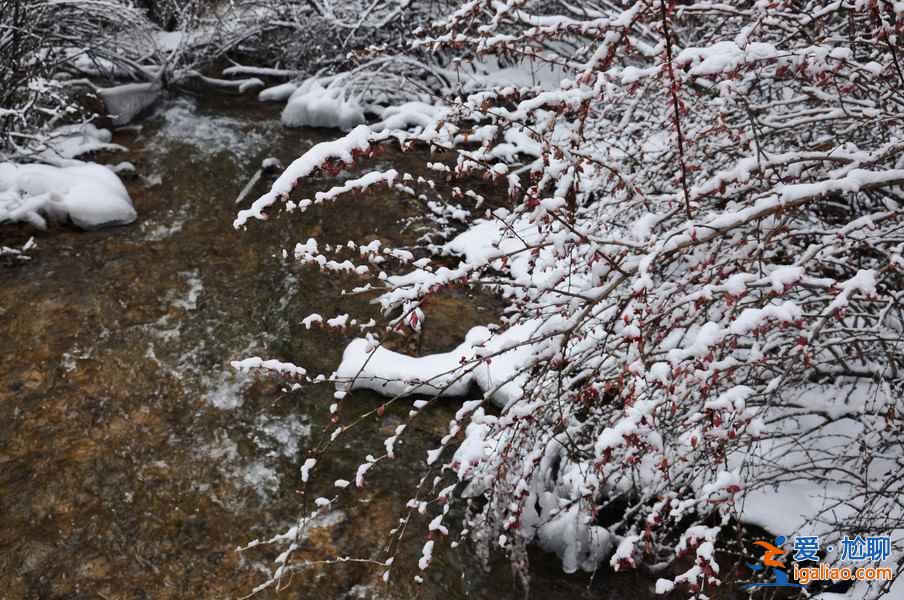 九寨沟雪景什么时间去,九寨沟什么时候下雪？