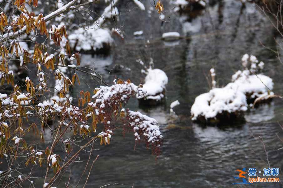 九寨沟雪景什么时间去,九寨沟什么时候下雪？