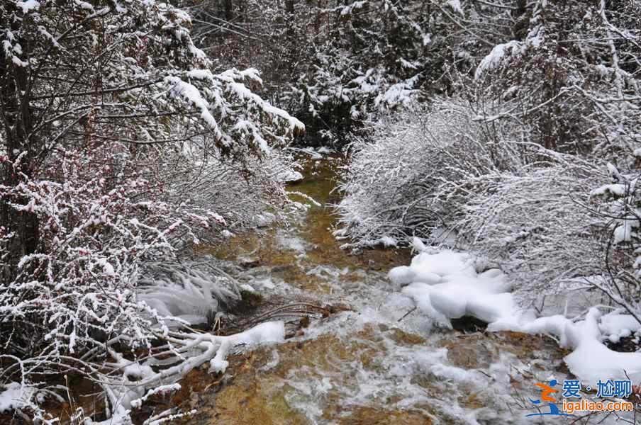 九寨沟雪景什么时间去,九寨沟什么时候下雪？