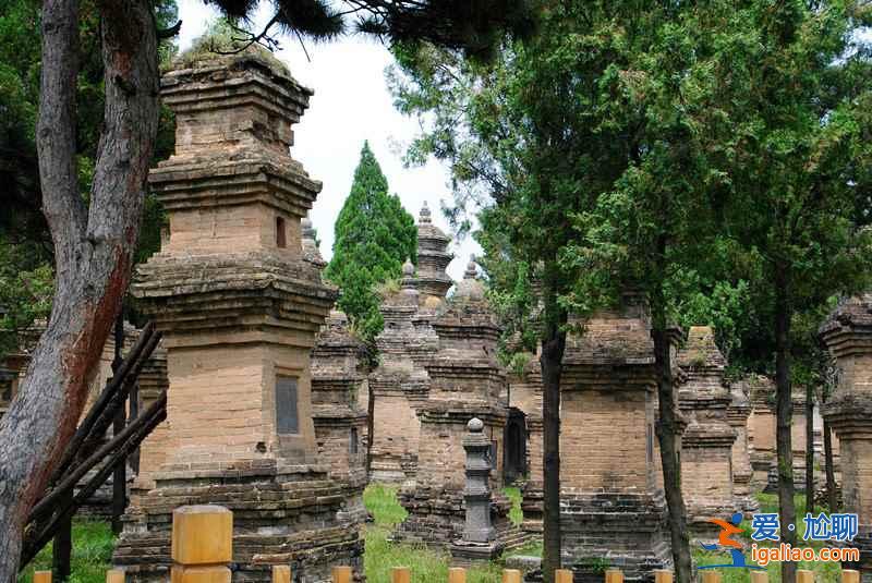 【交通指南】洛阳去少林寺怎么坐车，洛阳去少林寺怎么走？