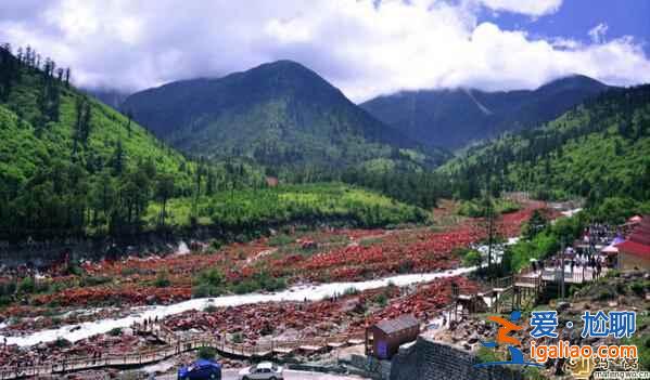 香格里拉大环线骑行指南、路线、沿途美景？