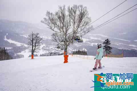 冬季富良野还能这么玩！滑雪玩雪雪橇狗，冰城冰钓热气球？