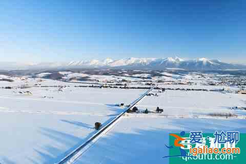 冬季富良野还能这么玩！滑雪玩雪雪橇狗，冰城冰钓热气球？