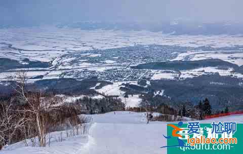 冬季富良野还能这么玩！滑雪玩雪雪橇狗，冰城冰钓热气球？