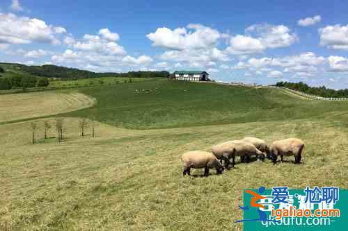 【海外抗疫】为了让游客住得安心，北海道酒店用了这些“高科技”？