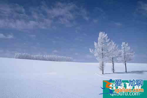 【海外抗疫】为了让游客住得安心，北海道酒店用了这些“高科技”？